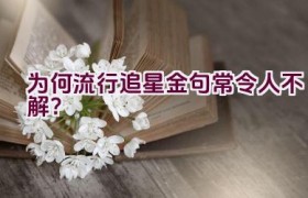 为何流行追星金句常令人不解？