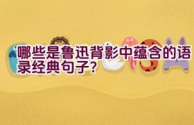 哪些是鲁迅背影中蕴含的语录经典句子？