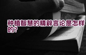“种植智慧的精辟言论是怎样的？”