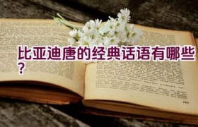 比亚迪唐的经典话语有哪些？