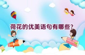 荷花的优美语句有哪些？
