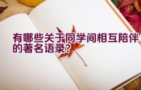 有哪些关于同学间相互陪伴的著名语录？