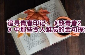 “追寻青春印记：《致青春2》中那些令人难忘的金句探索”