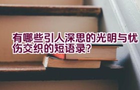 有哪些引人深思的光明与忧伤交织的短语录？