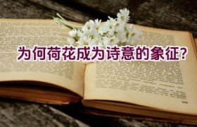 为何荷花成为诗意的象征？