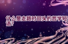 什么是走路时回头的哲学短语？