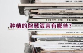 种植的智慧箴言有哪些？