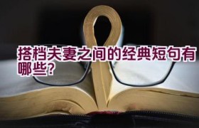 搭档夫妻之间的经典短句有哪些？