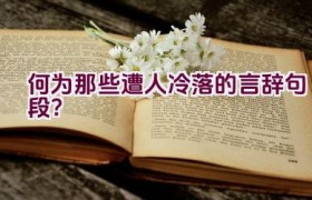 何为那些遭人冷落的言辞句段？