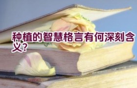 种植的智慧格言有何深刻含义？