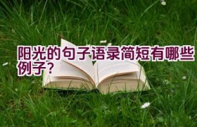 阳光的句子语录简短有哪些例子？