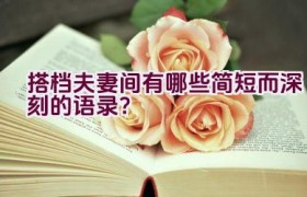 搭档夫妻间有哪些简短而深刻的语录？