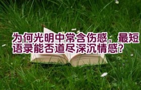 为何光明中常含伤感，最短语录能否道尽深沉情感？