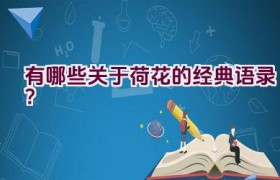 有哪些关于荷花的经典语录？