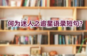 何为迷人之追星语录短句？
