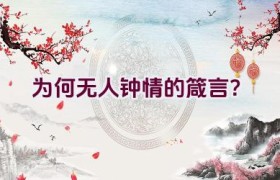 “为何无人钟情的箴言？”