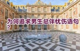 为何追求男生总伴忧伤语句？