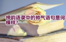 押韵语录中的帅气语句是何模样？