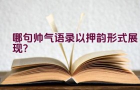 哪句帅气语录以押韵形式展现？