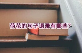 荷花的句子语录有哪些？