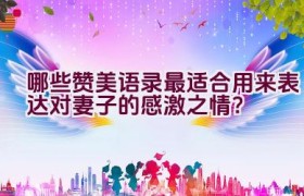 哪些赞美语录最适合用来表达对妻子的感激之情？