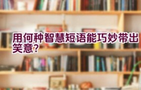 “用何种智慧短语能巧妙带出笑意？”