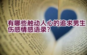 有哪些触动人心的追求男生伤感情感语录？