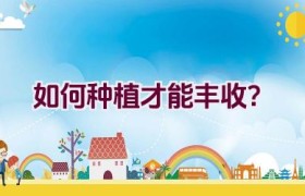 如何种植才能丰收？