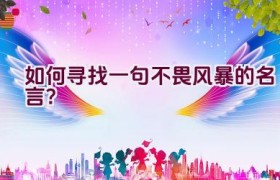 如何寻找一句不畏风暴的名言？