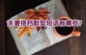 夫妻搭档默契短语有哪些？