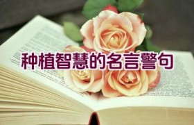 种植智慧的名言警句