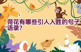 荷花有哪些引人入胜的句子语录？