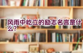 风雨中屹立的励志名言是什么？