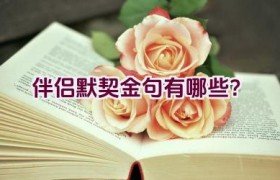 伴侣默契金句有哪些？