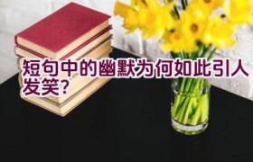 短句中的幽默为何如此引人发笑？