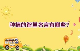 种植的智慧名言有哪些？