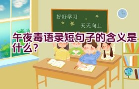 午夜毒语录短句子的含义是什么？
