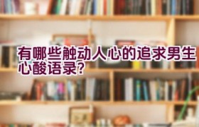 有哪些触动人心的追求男生心酸语录？