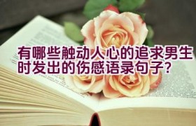 有哪些触动人心的追求男生时发出的伤感语录句子？