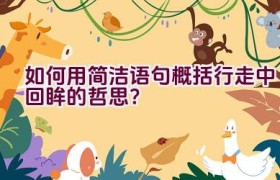 如何用简洁语句概括行走中回眸的哲思？