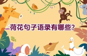 荷花句子语录有哪些？