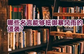 哪些名言能够抵御暴风雨的侵袭？