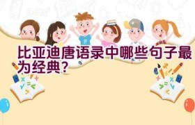 比亚迪唐语录中哪些句子最为经典？