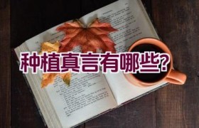 种植真言有哪些？
