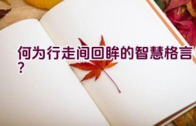 “何为行走间回眸的智慧格言？”