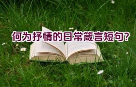 何为抒情的日常箴言短句？