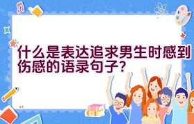 什么是表达追求男生时感到伤感的语录句子？