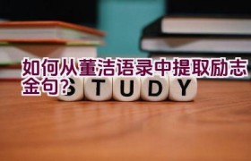 如何从董洁语录中提取励志金句？
