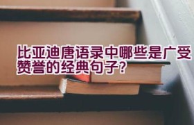 比亚迪唐语录中哪些是广受赞誉的经典句子？