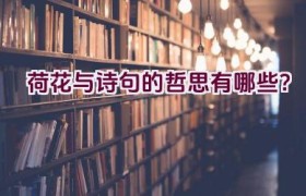 荷花与诗句的哲思有哪些？